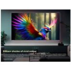 65 Inch, Ultra HD 4K, Mini LED, Smart TV, 60HZ, (2024) - 65U6N PRO Black (3)